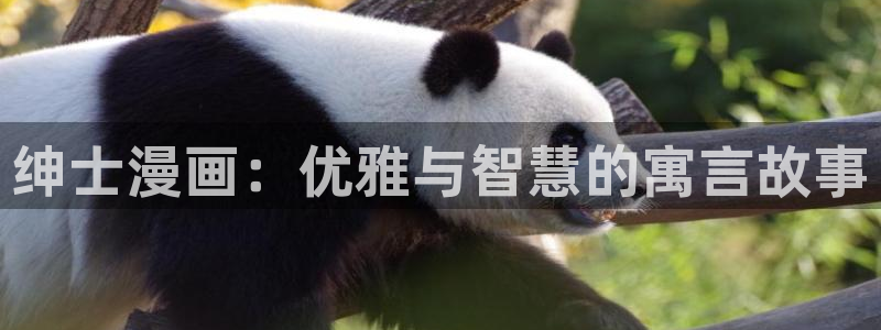 韩漫夫妇游戏漫画：绅士漫画：优雅与智慧的寓言故事