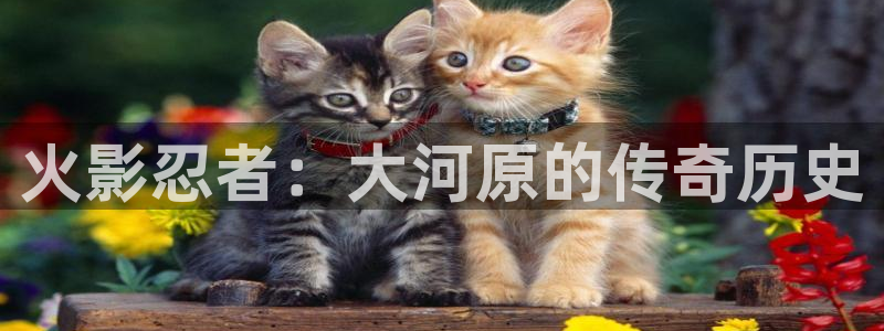 3d韩漫画免费在线观看：火影忍者：大河原的传奇历史