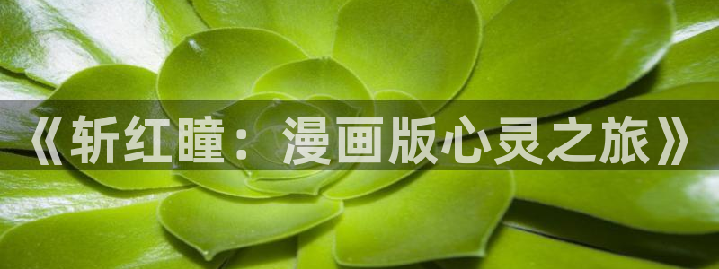 韩漫阅读：《斩红瞳：漫画版心灵之旅》