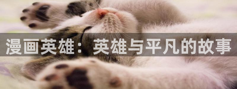 韩漫漫画入口免费在线观看：漫画英雄：英雄与平凡的故事