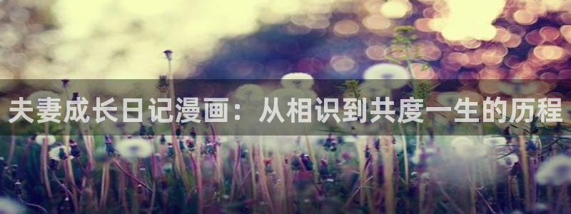 久久韩漫漫画：夫妻成长日记漫画：从相识到共度一生的历程